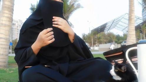 娱乐吃瓜君网红对比,娱乐吃瓜君与网红们的巅峰对决