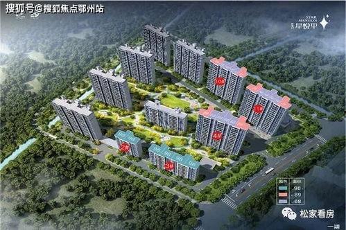 娱乐吃瓜酱星途报价