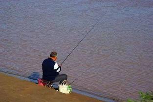 娱乐吃瓜钓鱼视频大全下载,一键下载收藏！