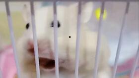 吃瓜娱乐喵喵酱,揭秘娱乐圈那些事儿